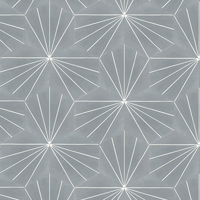 Mission Bakery Oxford Gray 8 Hexagon Cement Tile – Avente Tile
