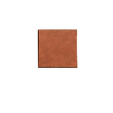 Rustic Mission Red Cement Tile Color Chip