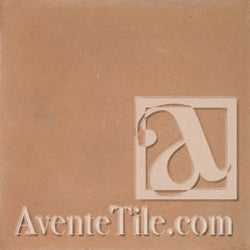 Rustic Flagstone Cement Tile Swatch